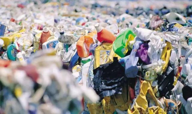 1634630722142068.jpeg 7.jpeg